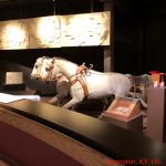 2019_OTRA_0459 (September 01, 2019)